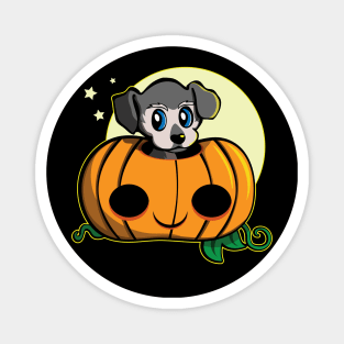 Cute Pumpkin Puppy for Halloween Magnet